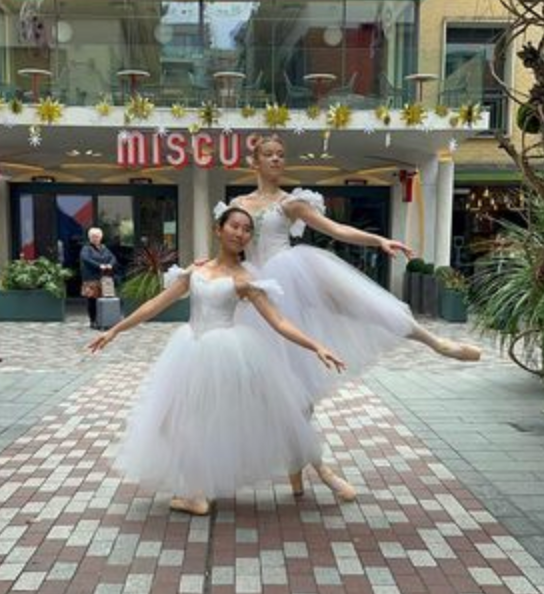 Giselle, Wilis or Sylphides romantic tutu dresses - hire only